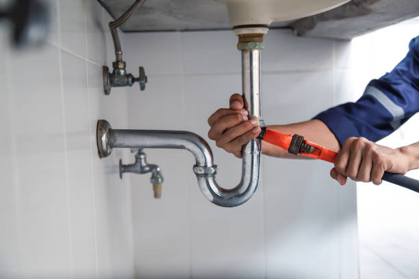 Best Residential Plumbing Services  in Leona Valley, CA